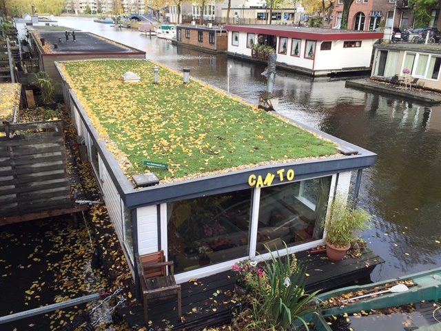 Amsterdam - green roof finished.jpg