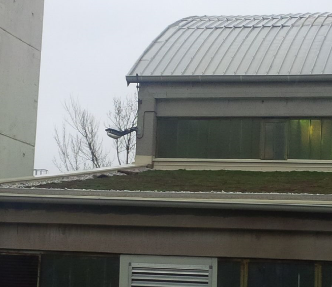 Green roof Real-life testing 2.png