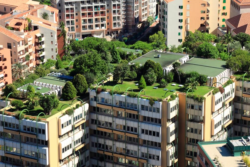 Green_Roof_-_small.jpg